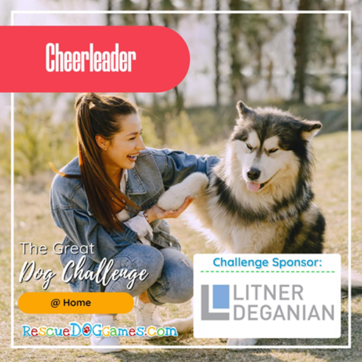 Litner + Deganian Sponsors Rescue Dog Games Fall 2020